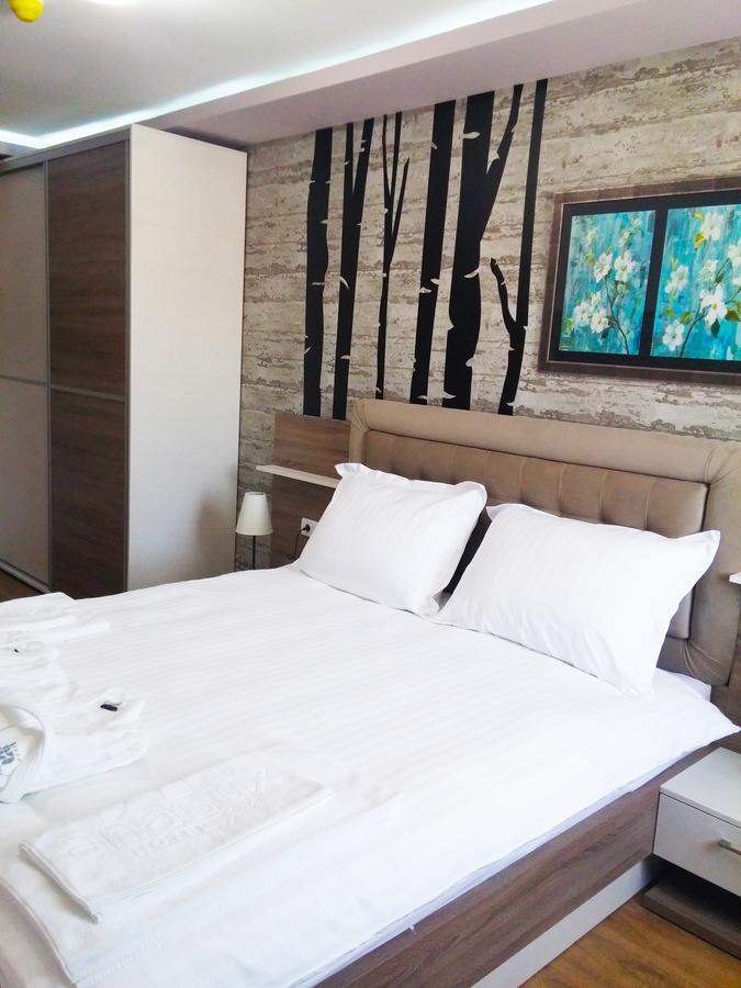 Hotel Ana Lux Spa Pirot Buitenkant foto